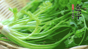 挑選鮮嫩的香菜，洗干凈后，處理成小段。